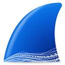 Wireshark PC端v4.4.2